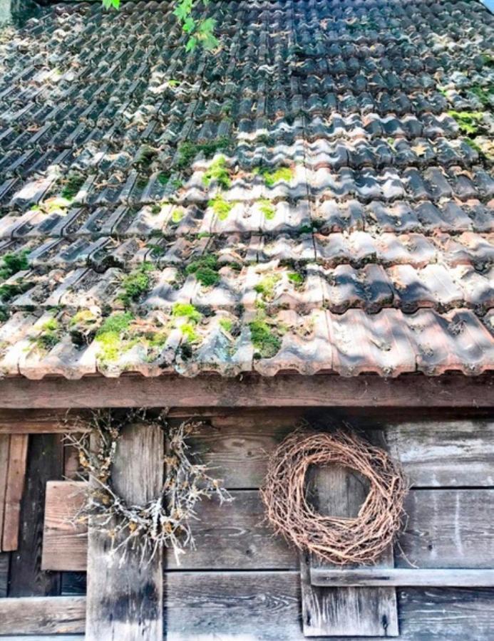Gasthaus Birke 호텔 키르히자르텐 외부 사진
